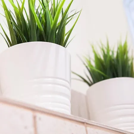 Apartament Barandiaran By Basque Homes