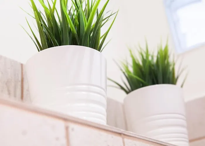 Apartament Barandiaran By Basque Homes